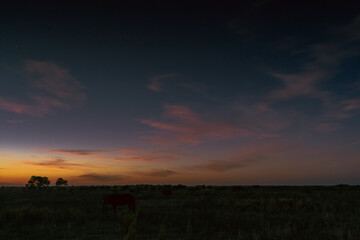 atardecer de campo con el sol ya puesto en horizonte