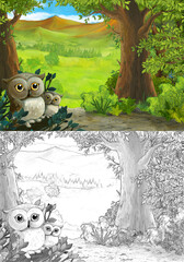 Cartoon scene with owls in the forest and path to somewhere