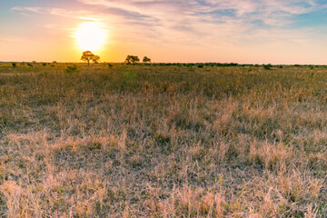 atardecer de campo con el sol brillante detrás