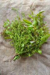 Neem leaves on old fabric - Azadirachta indica