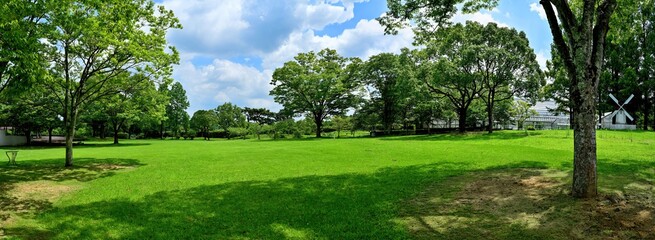 夏空バックに芝生公園のパノラマ情景