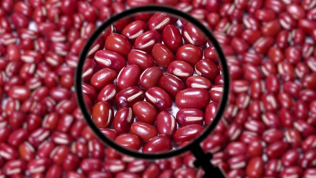 一面の小豆と拡大鏡