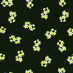 Fototapeta na wymiar Plumeria Flower Hawaiian Floral Pattern. Tropical Flower Seamless repeat patterns