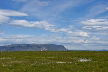 Summer landscape in the area of Floi Nature Reserve, southern Iceland © Michele Burgess