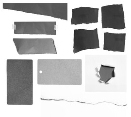 Collection of ripped paper isolated on white background with copy space for text
