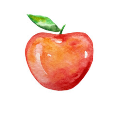 watercolor bright ripe red apple