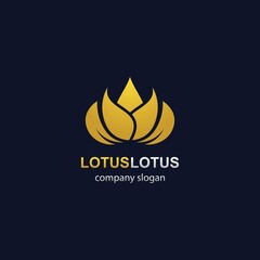 Lotus logo template vector icon