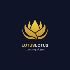 Lotus logo template vector icon