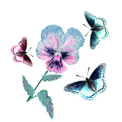 Panele Szklane  Isolated viola and butterfly flower. Perfect print for textiles and paper.