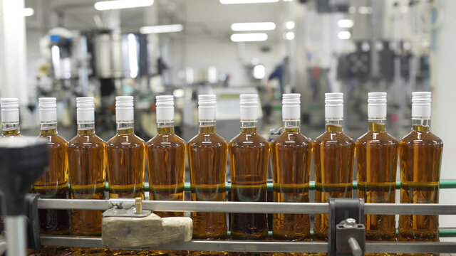 Glass bottles sealed with white foil and filled with alcohol move along conveyor line with control panel in Factory for bottling alcoholic beverages. Production process of prune tincture.