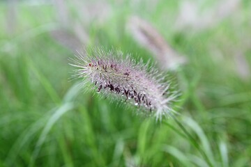 한국 경기도 시흥시 시흥갯골생태공원 입니다