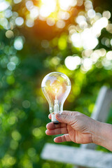 Light bulbs that grow, in the concept of energy in nature.