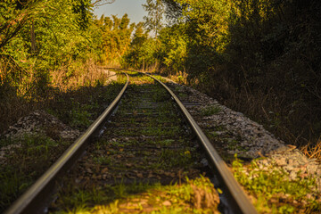 Disabled train tracks on abandoned railroad in Brazil