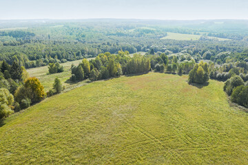 rural summer landscape with green meadow and forest on horizon. captured from above with a drone