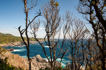 Obraz premium 屋久島の谷崎鼻岬からの美しい眺望