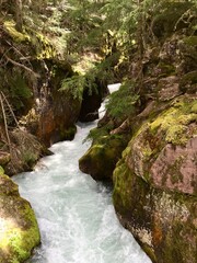 Flowing stream in mountains