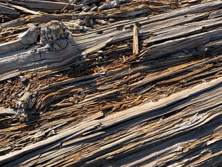 Splintered Rustic Wooden Log Background, Wood Texture