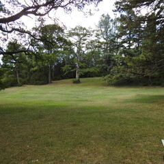 path in the park