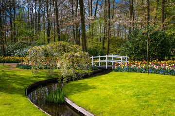 Spring Background. Spring Flowers. Beauty natural background