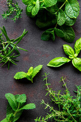 Fresh herbs on black stone background