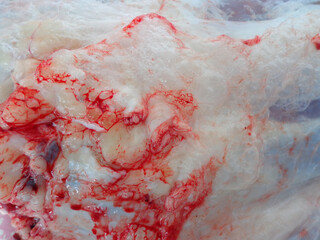 Fototapeta premium raw meat, Meat Texture for background, Texture of meat