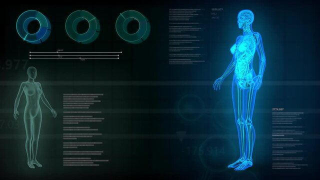 Seamless looping background with x-Ray roentgen female body, organs and skeleton scan for overlay or backdrop use in your projects - 4K 60fps UHD 3D animation