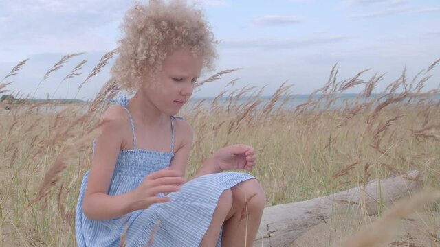 Сurly hair. Cute little girl in blue dress sit in nature. Dry grass in meadow background.