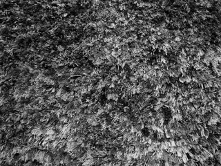 Black soft cotton sheep wool fluffy fur carpet texture background
