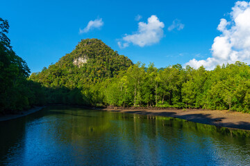 Wonderful natural landscape of Asia. View from the wide river to the forest and the mountain