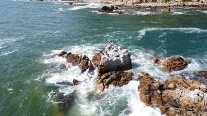 Rocks with birds on top with a beautiful sea shore at the background