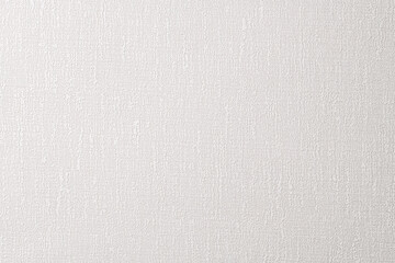 Fototapeta na wymiar 絹目調の凹凸のある白い紙の背景テクスチャー