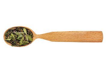 Dried leaves of Arctostaphylos in a wooden spoon on a white background. Phytotherapy and disease prevention. Herbal collection for medicinal tinctures. Herbal tea in folk medicine