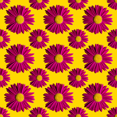 Fashionable summer floral pattern. Bright pink daisies on a yellow background with hard shadows, flat lay, top view, seamless texture. Minimalistic background in style pop art. Fabric and card ideas