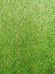 Fake Green grass field carpet for sport background.