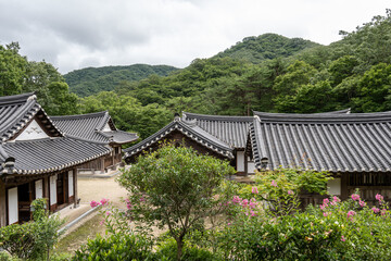 Fototapeta na wymiar Seonamsa wild tea house