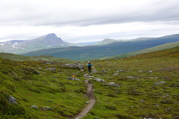 Person walking on a hiking trail in a green valley in summer with some clouds