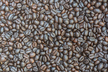 Roast coffee seed background. Abstract drink seed background