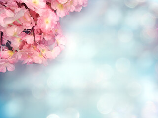 Obraz na płótnie Canvas spring background flowering white sakura cherry flowers tree and abstract bokeh