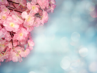 spring background flowering white sakura cherry flowers tree and abstract bokeh