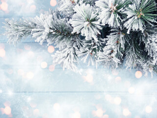 winter background with fir branches cones and snow