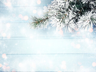 winter background with fir branches cones and snow