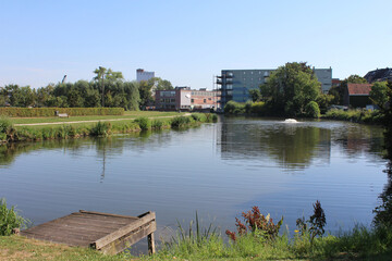Fototapeta premium View of Martin's Park (Martinuspark) in Deinze, Belgium, looking accross the fishing pond towards the town centre, on a sunny summer's day.