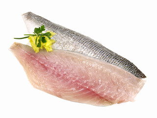 Fish - Gilthead Sea Bream Fillet isolated on white Background