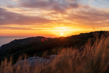 Gorgeous sunset at Kullaberg nature reserve in south Sweden. Blurred foreground. Selective focus.