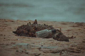 Bottle on the beach