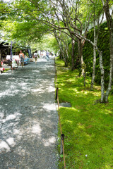 京都大原の参道