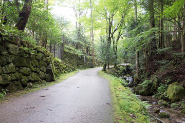 京都　大原の山道