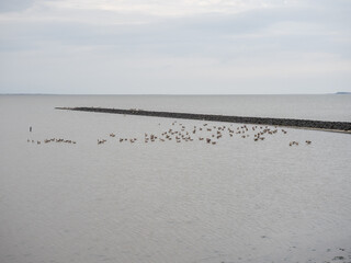 Nordsee Impression
