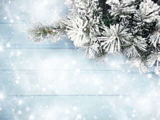 winter background with fir branches cones and snow