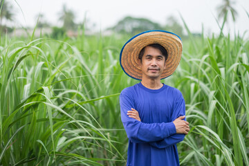 Asian farmer man wear blue t-shirt smile and standing at corn farm green leaf background